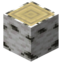 Birch Log