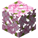 Cherry Leaves