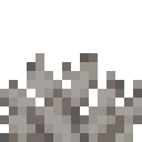 Dead Bubble Coral Fan
