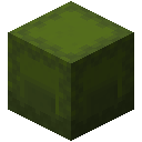 Green Shulker Box