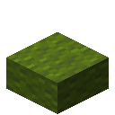 Green Wool Slab