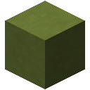 Lime Terracotta