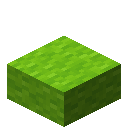 Lime Wool Slab