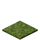 Moss Carpet