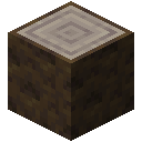 Poplar Log
