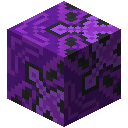 Purple Glazed Terracotta Purple Glazed Terracotta