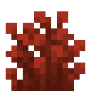 Red Shrub