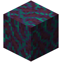 Warped Hyphae